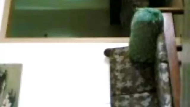 কফি খাওয়ার বদলে কফি দেখতে পাইপে www বাংলা xx কফি