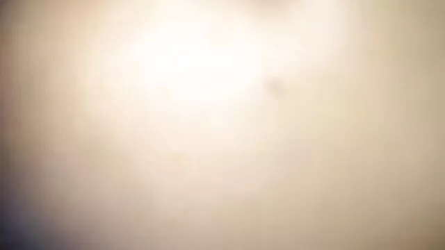 রাখালী, এশিয়ান, লোমশ, ব্লজব বাংলা xx vdo