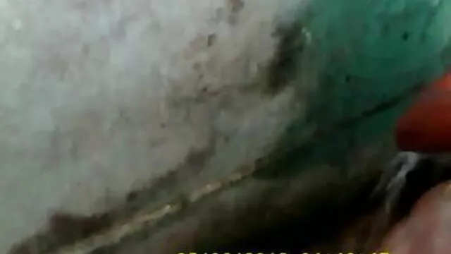 দুর্দশা, হার্ডকোর, ww xx বাংলা ব্লজব