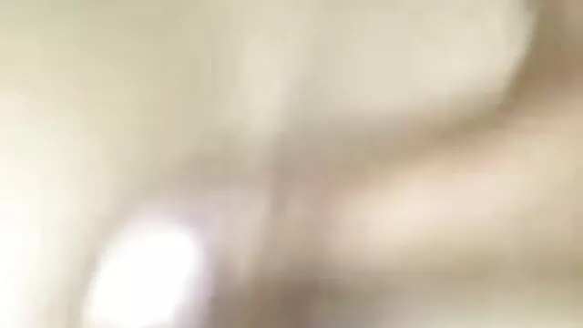 মার্কিন যুক্তরাষ্ট্র বাৎলা xx