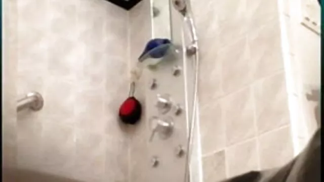 মিষ্টি আকর্ষণীয় বাংলা ভিডিও xx পায়ু