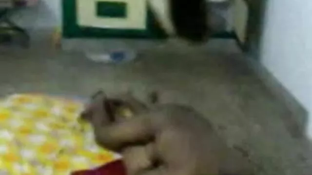 মেয়ে সমকামী গুদ বাংলা xx x মডেল