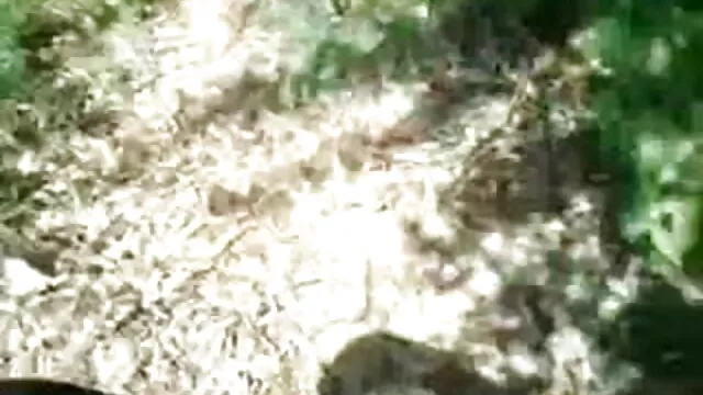 বড়ো বুকের বাংলা xx video hd মেয়ের