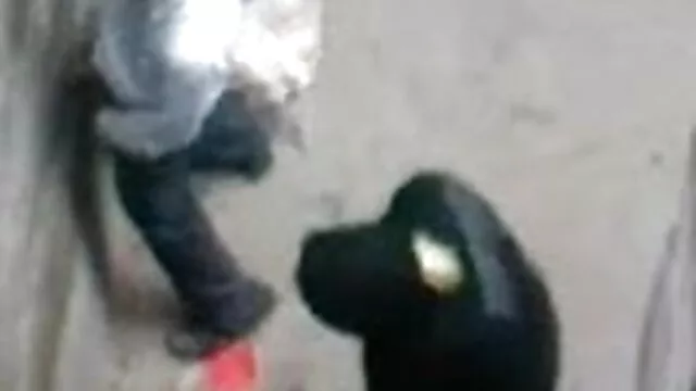 বহু পুরুষের এক বাংলা 3 xx নারির