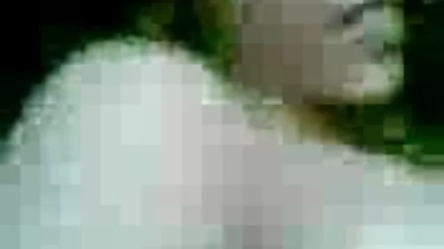 খালেদা ভাষা বাংল xx