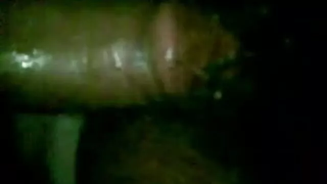 সুন্দর, বাংলা xx video কঠিন যৌনসঙ্গম, তার বাচ্চাদের রুমে
