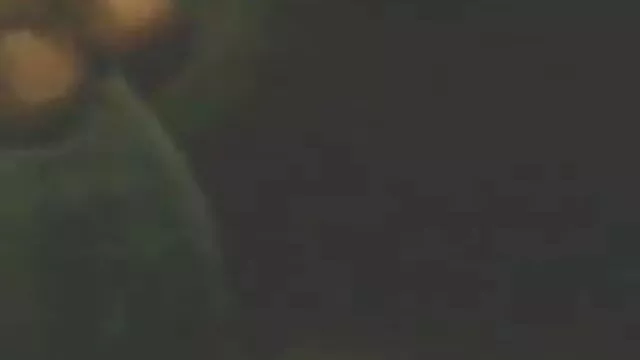 স্বামী ও বাংলা কথা xx স্ত্রী