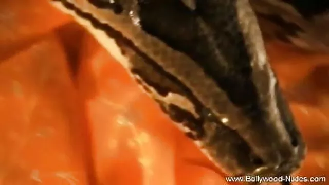 পুরুষ বাংলা xx video সমকামী
