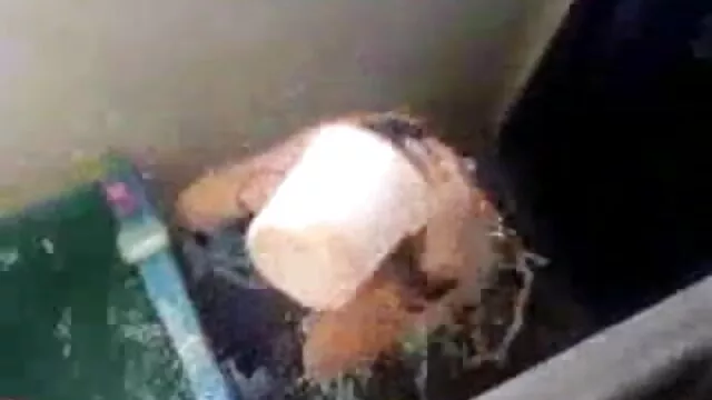 মেয়ে বাংলা xx vido সমকামী