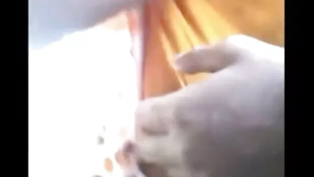 বহু বাংলা দেশি xx পুরুষের এক নারির