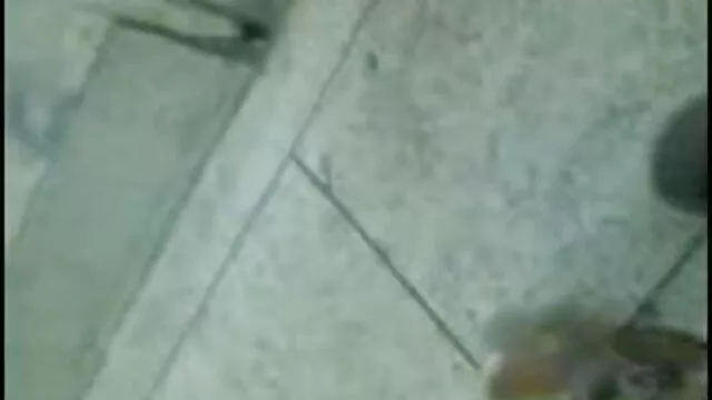 অপেশাদার, এশিয়ান, বাংলা xx x দুর্দশা,