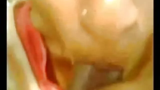 সাগর, সূর্য, বাছুরের - আপনি ছুটিতে xx বাংলা ভিডিও কি প্রয়োজন?