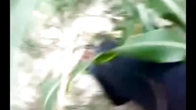 ছাত্রী, বাংলা xx video hd দুর্দশা, পার্টি,