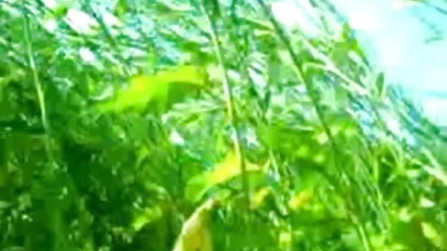 হাতের বংলা xx কাজ, ব্লজব, দুর্দশা