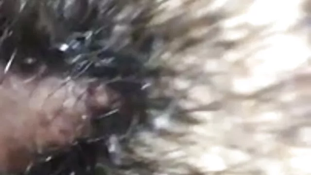 বড়ো বুকের মেয়ের বাংলা sex xx
