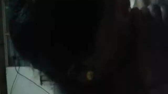 ব্লজব, সুন্দরী বালিকা, বাংল xx দুর্দশা