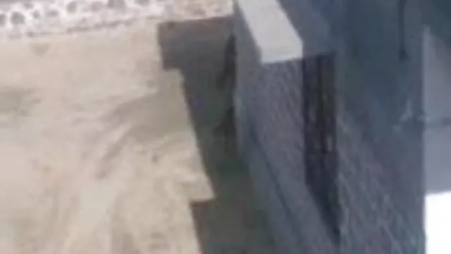 স্বামী ও স্ত্রী বাংলা video xx