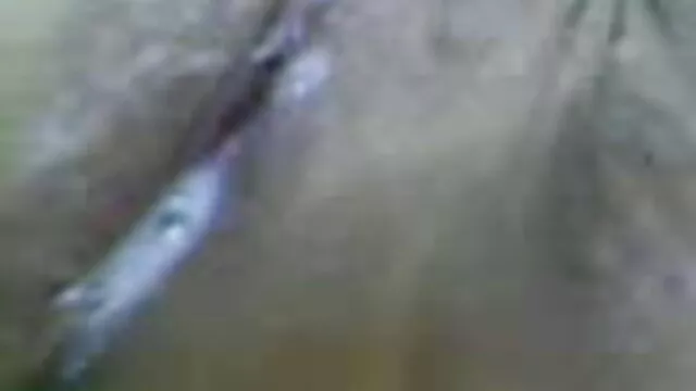 বাঁড়ার বাংলা xx বিডিও রস খাবার