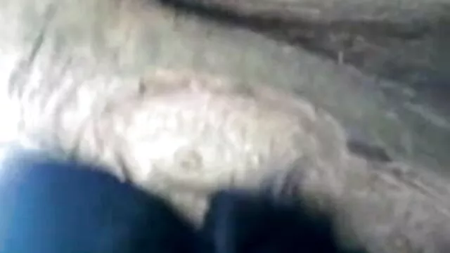 মেয়ে সমকামী মেয়ে সমকামী xx চুদা চুদি