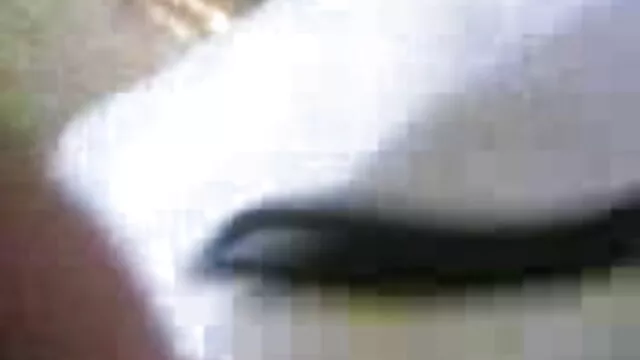 বালিকা, স্কুল, xx চুদা চুদি অভিন্ন, স্কুল