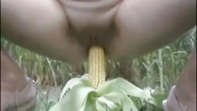বাঁড়ার বাংলা নতুন xx রস খাবার