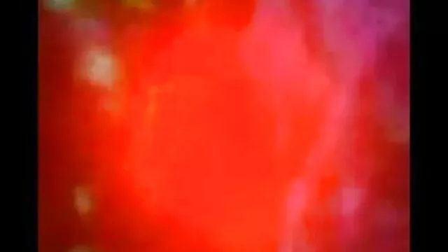 মেয়ে সমকামী বাংলা xx video com